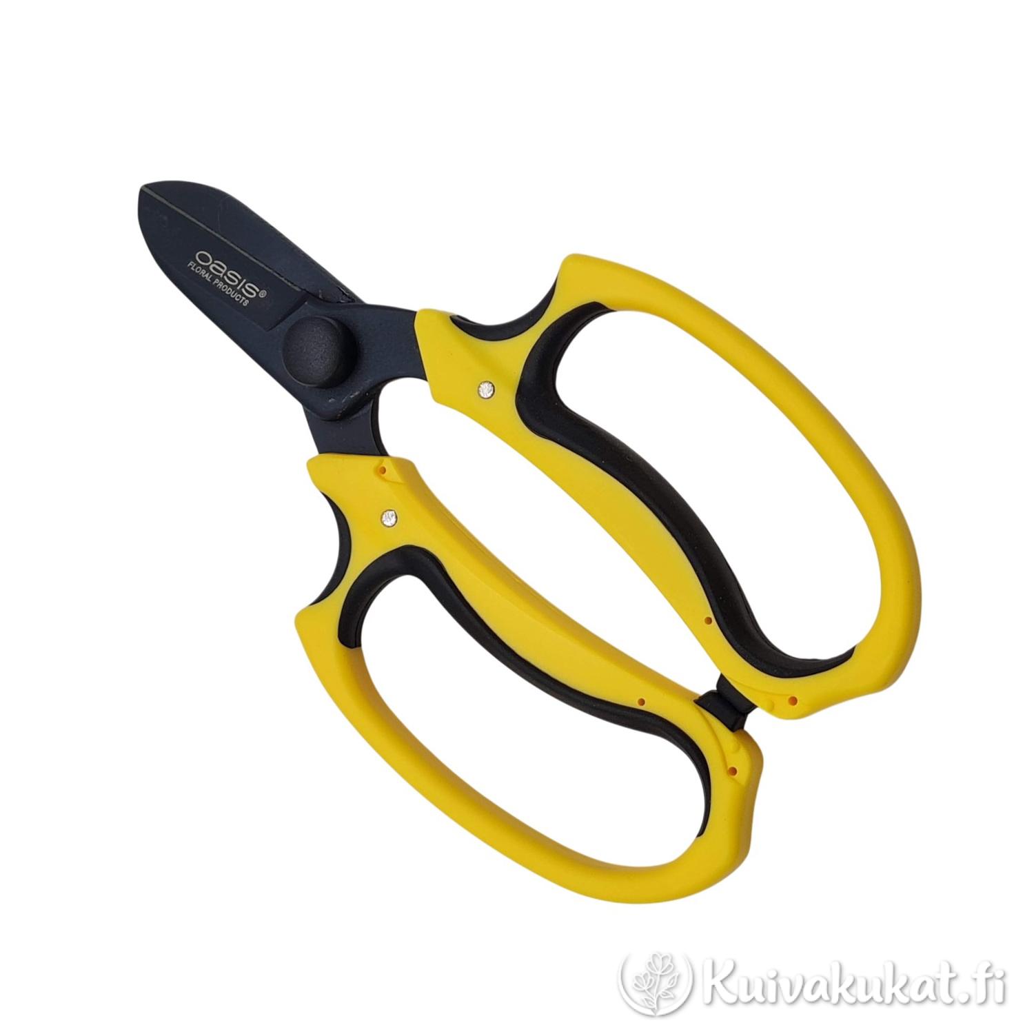 Keltaiset OASIS Ippon -kukkasakset suljettuna valkoista taustaa vasten.