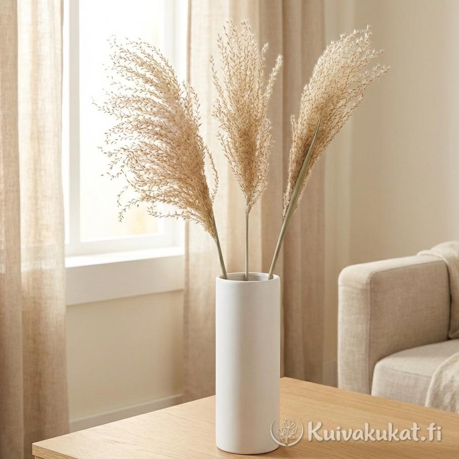 Kolme kuivattua kiinanmiskanttia (Miscanthus sinensis) korkeassa valkoisessa sylinterimaljakossa. Asetelma puupöydällä valoisassa olohuoneessa, jossa pellavaverhot ja beige sohva. Skandinaavinen sisustus.