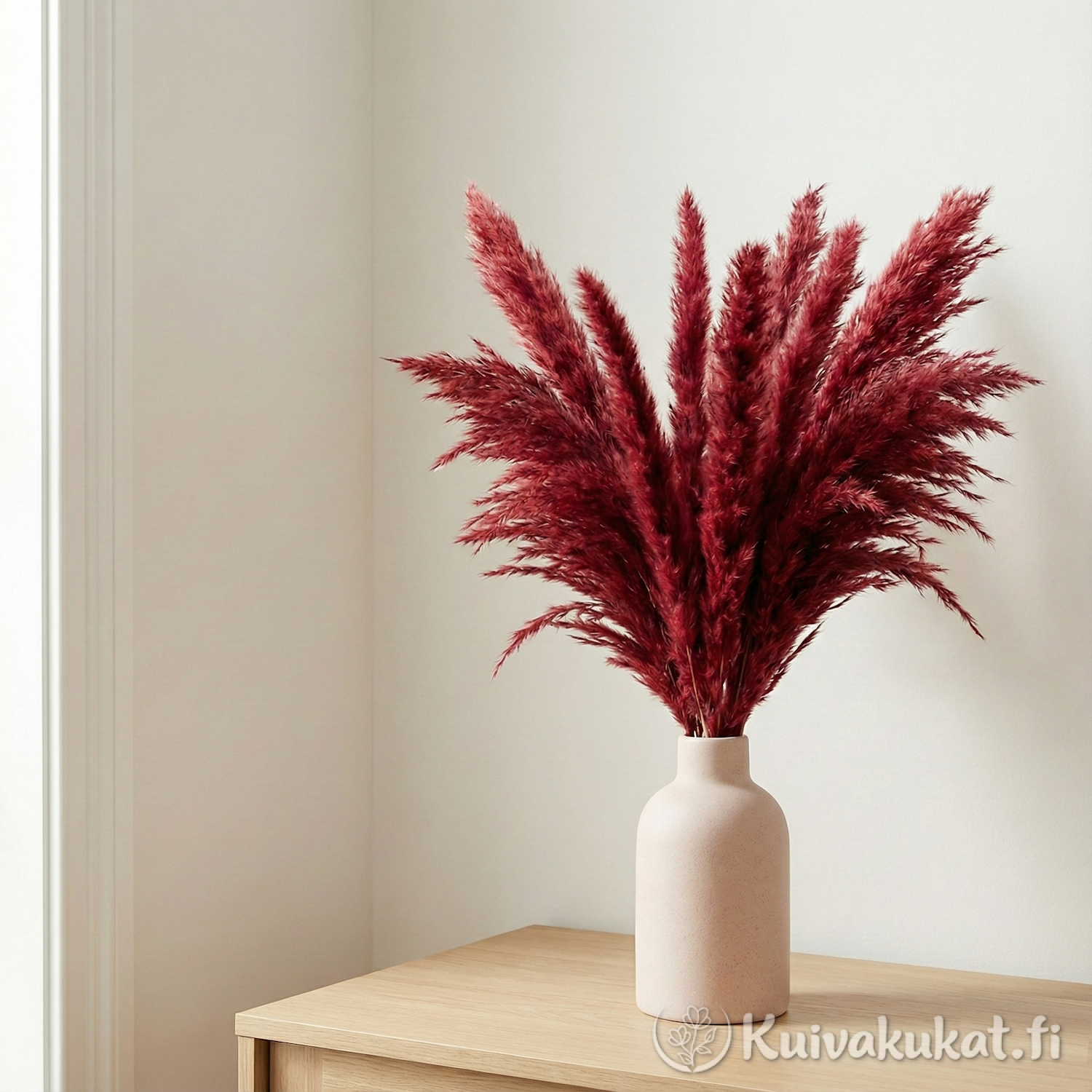 Iso kimppu punaista pampasruohoa (Cortaderia selloana) beigessä keraamisessa maljakossa puisella tasolla. Näyttävä boho-sisustuselementti. Large red pampas grass arrangement in a vase.