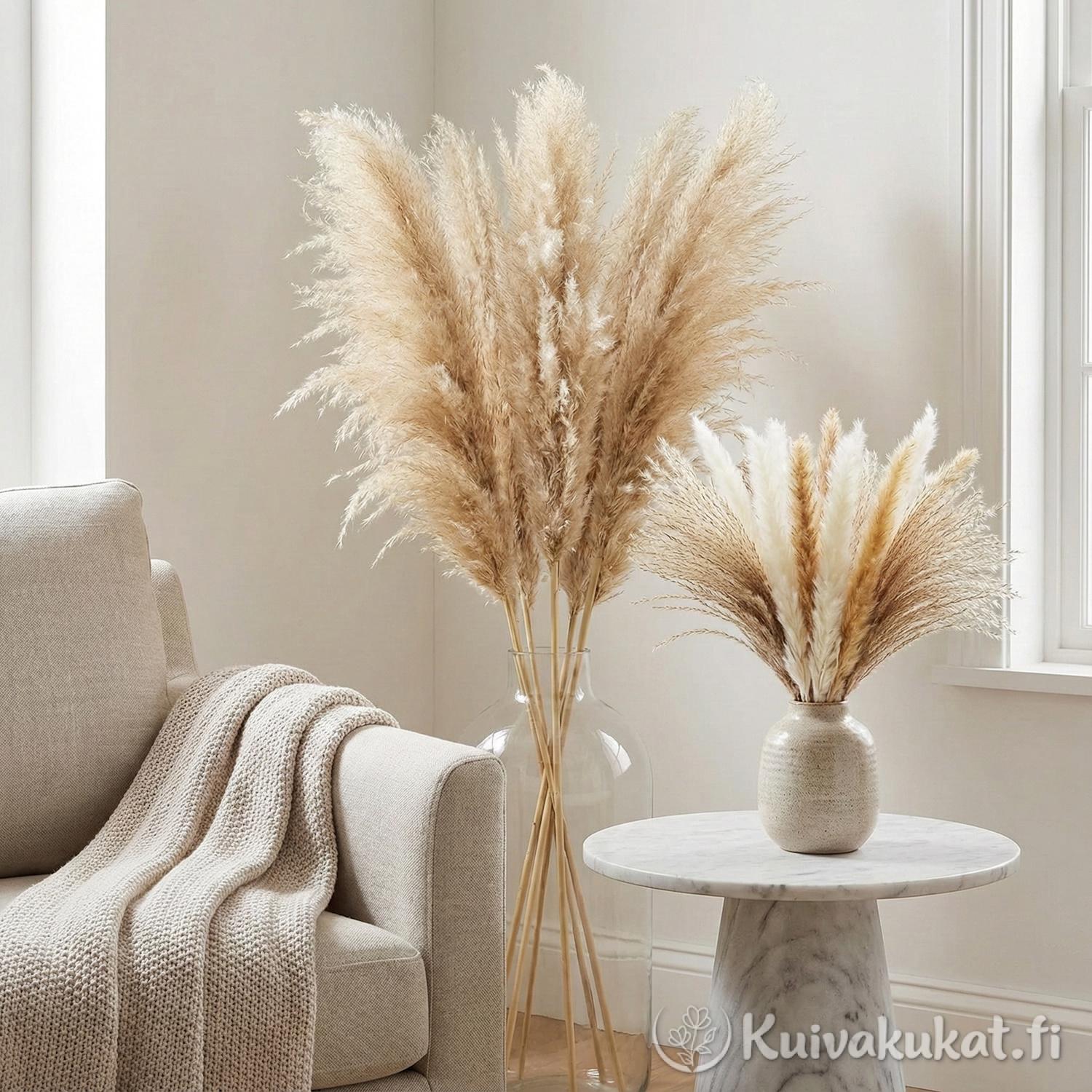 Pampasruoho (Cortaderia selloana) - Image 4