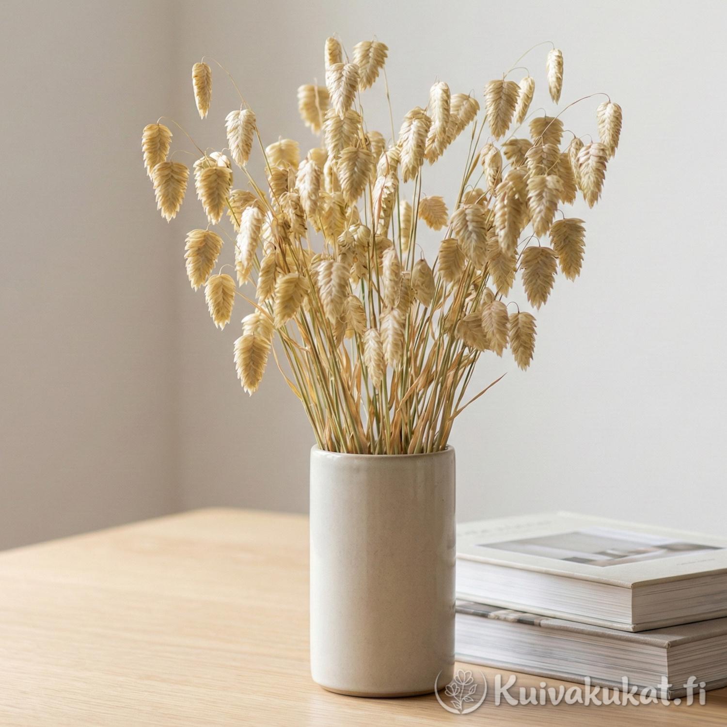 Runsas ja näyttävä kimppu kuivattua isoräpelöä (Briza maxima) keraamisessa maljakossa pöydällä. Luonnonvaalea kuivakukkakimppu sisustuselementtinä kirjojen vieressä.