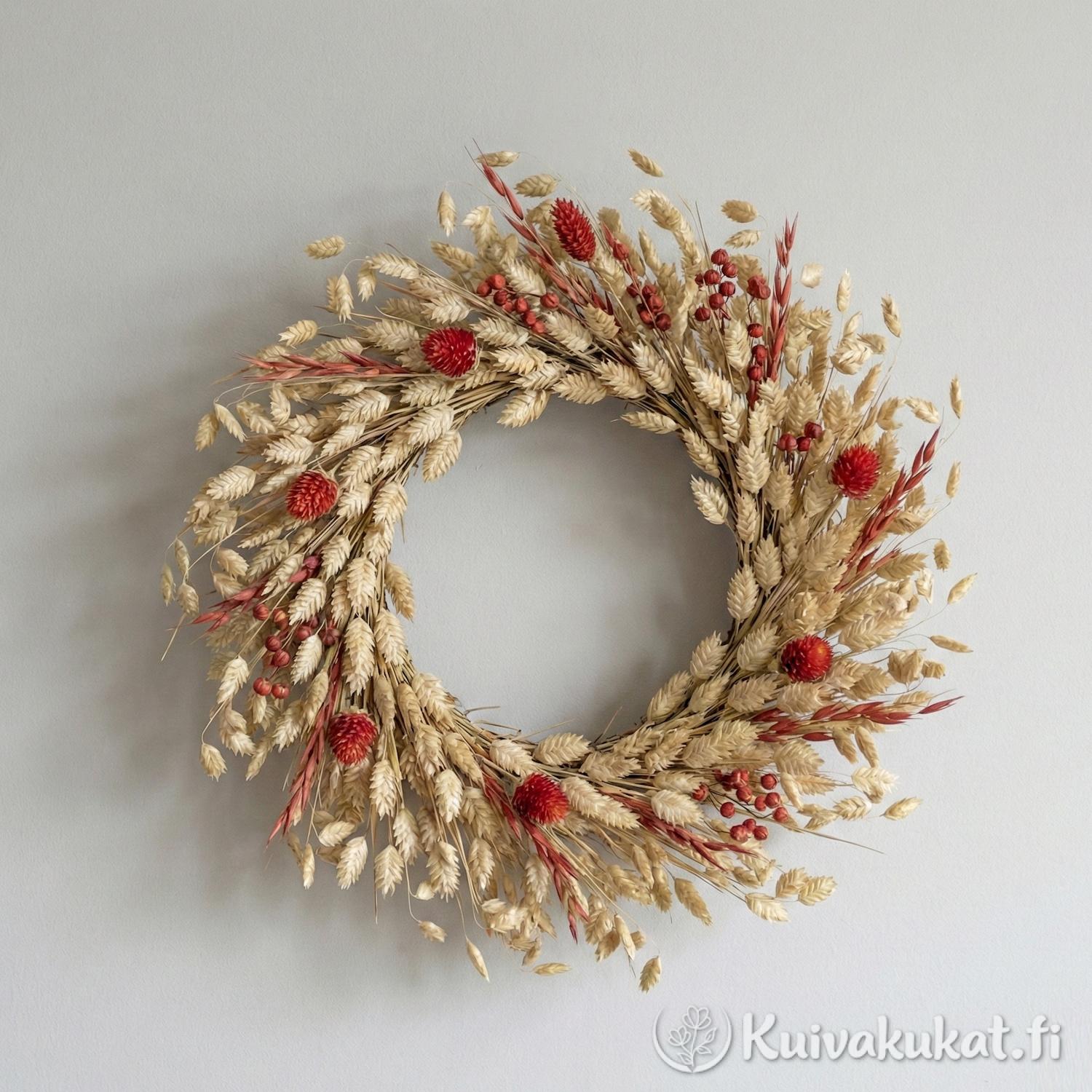 Käsin tehty kuivakukkakranssi, jossa on runsaasti isoräpelöä (Briza maxima) ja punaisia kuivakukkia. Pyöreä seinäkoriste vaalealla taustalla.