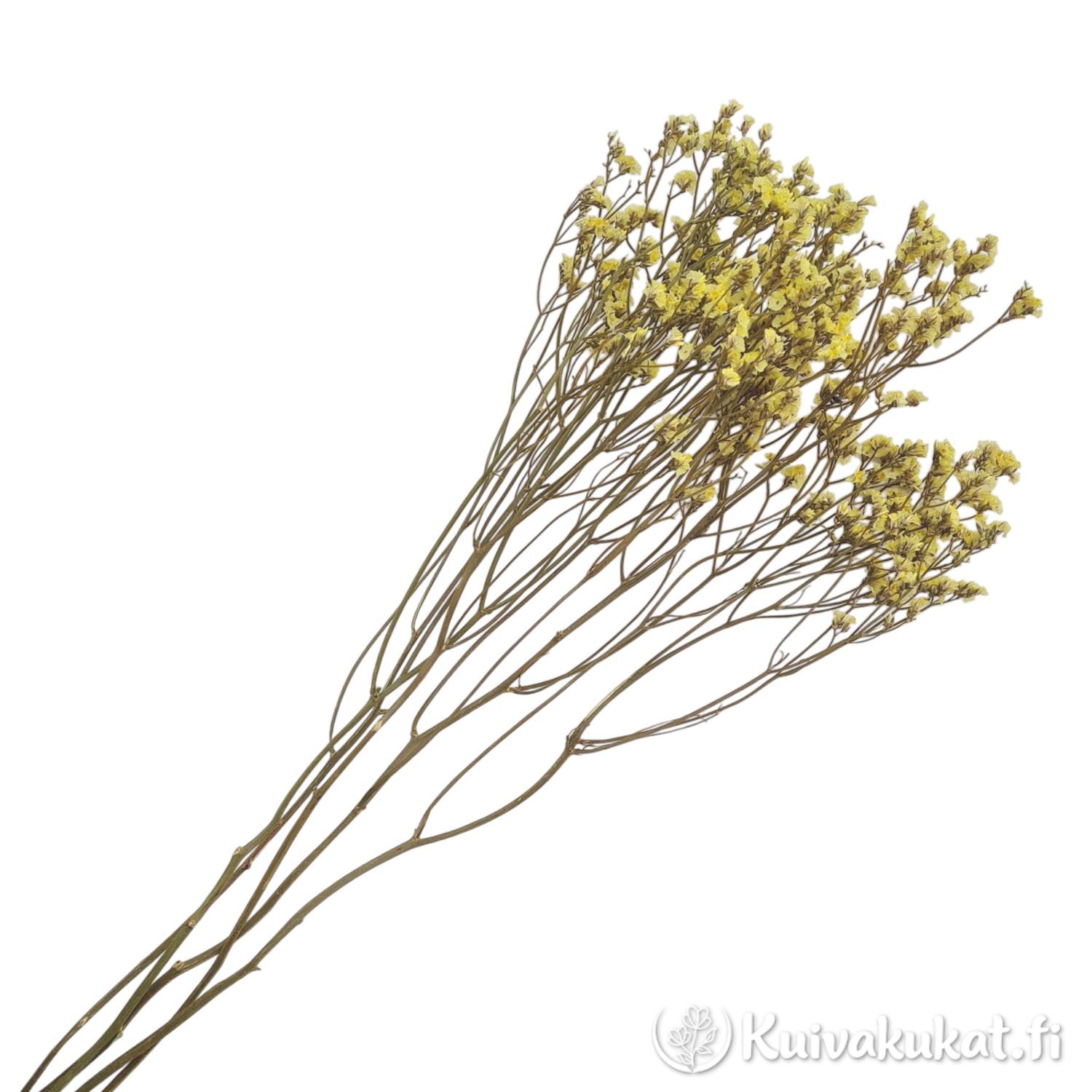 Nippu keltaisia Kiinanimikkä (Limonium sinense) kuivakukkia, 5 oksaa.