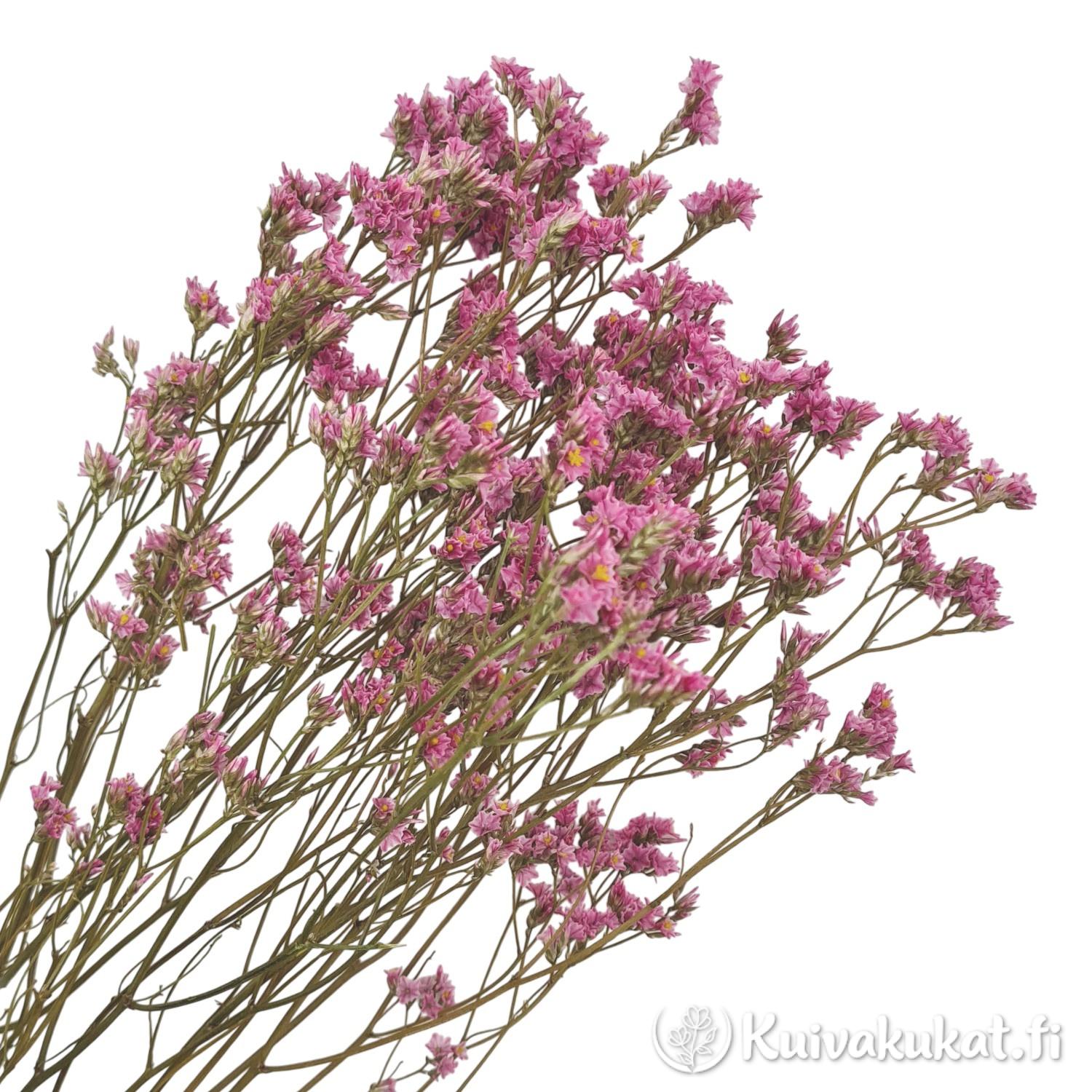 Nippu vaaleanpunaisia Kiinanimikkä (Limonium sinense) kuivakukkia, joissa on ohuet varret ja keltaiset keskustat.