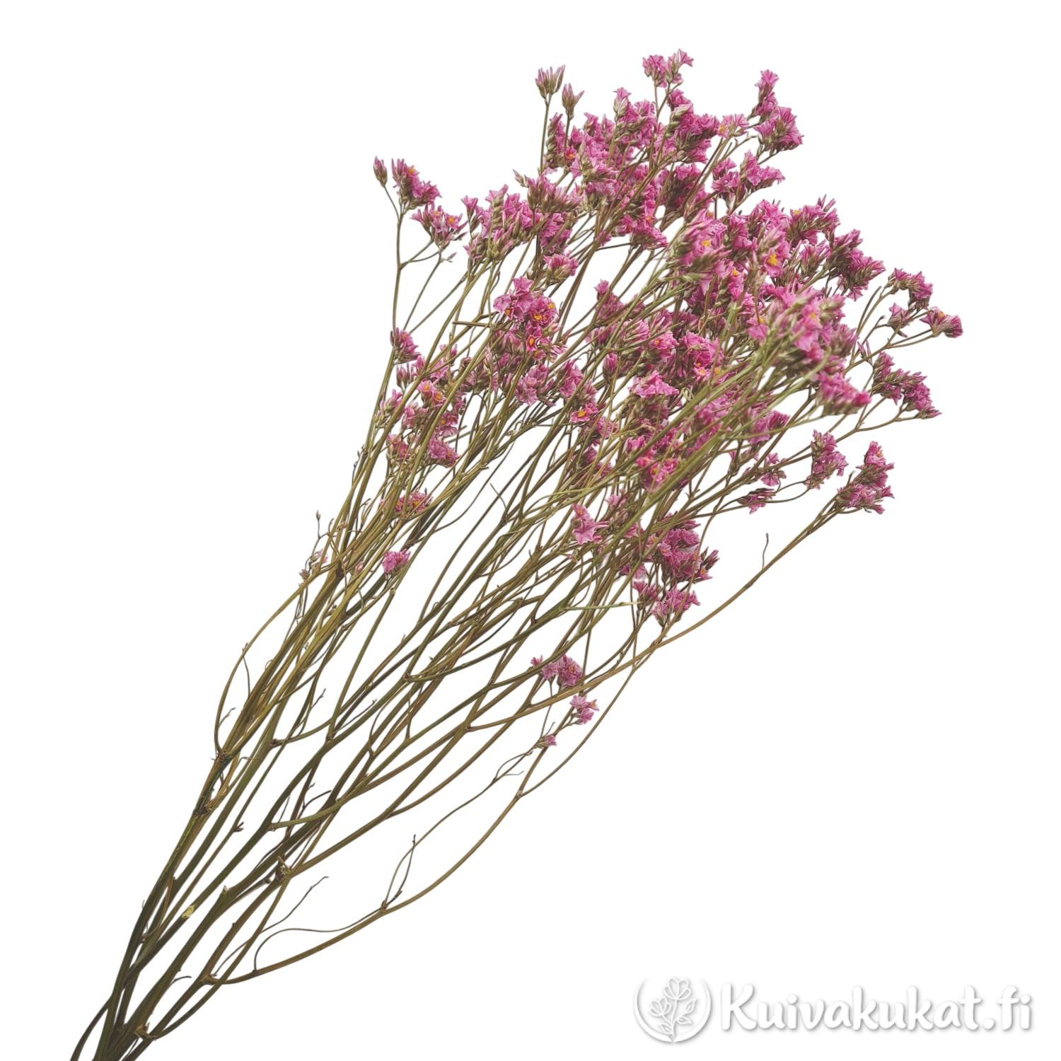 Nippu vaaleanpunaisia Kiinanimikkä (Limonium sinense) kuivakukkia, 5 oksaa.
