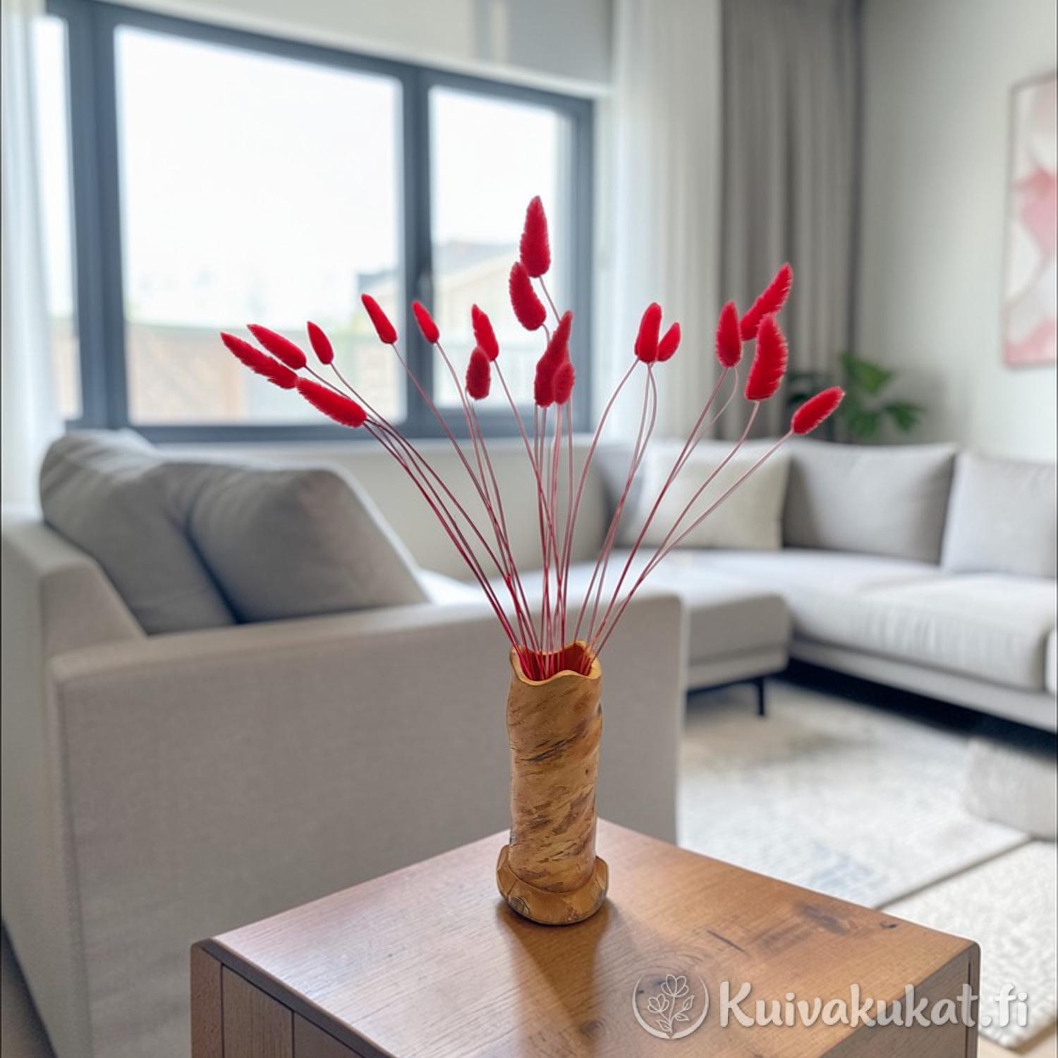 Punainen Jänönhäntä (Lagurus ovatus) aseteltuna puiseen maljakkoon olohuoneen pöydälle.