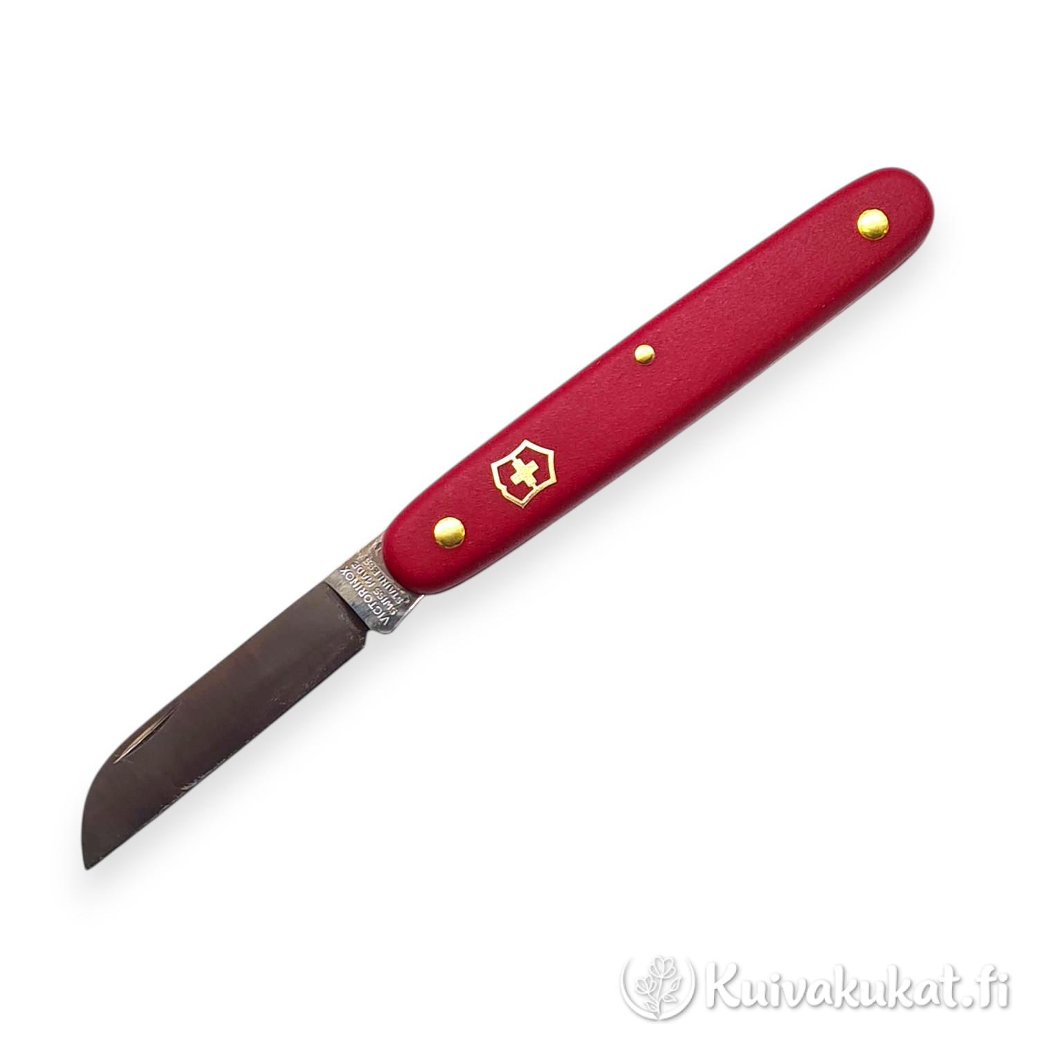 Avattu punainen Victorinox Floral Knife -kukkaveitsi suoralla terällä valkoisella taustalla.