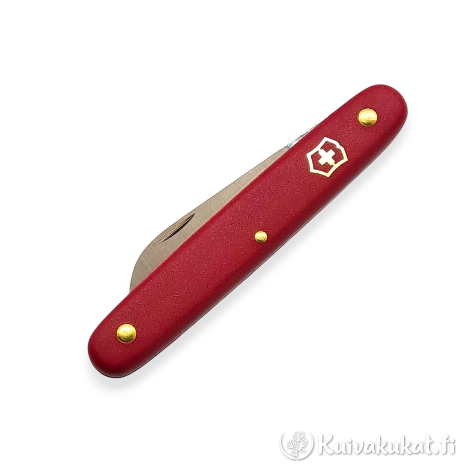 Kokoontaitettu punainen Victorinox Floral Knife (3.9050.22B1) floristin veitsi suoralla terällä valkoisella taustalla.