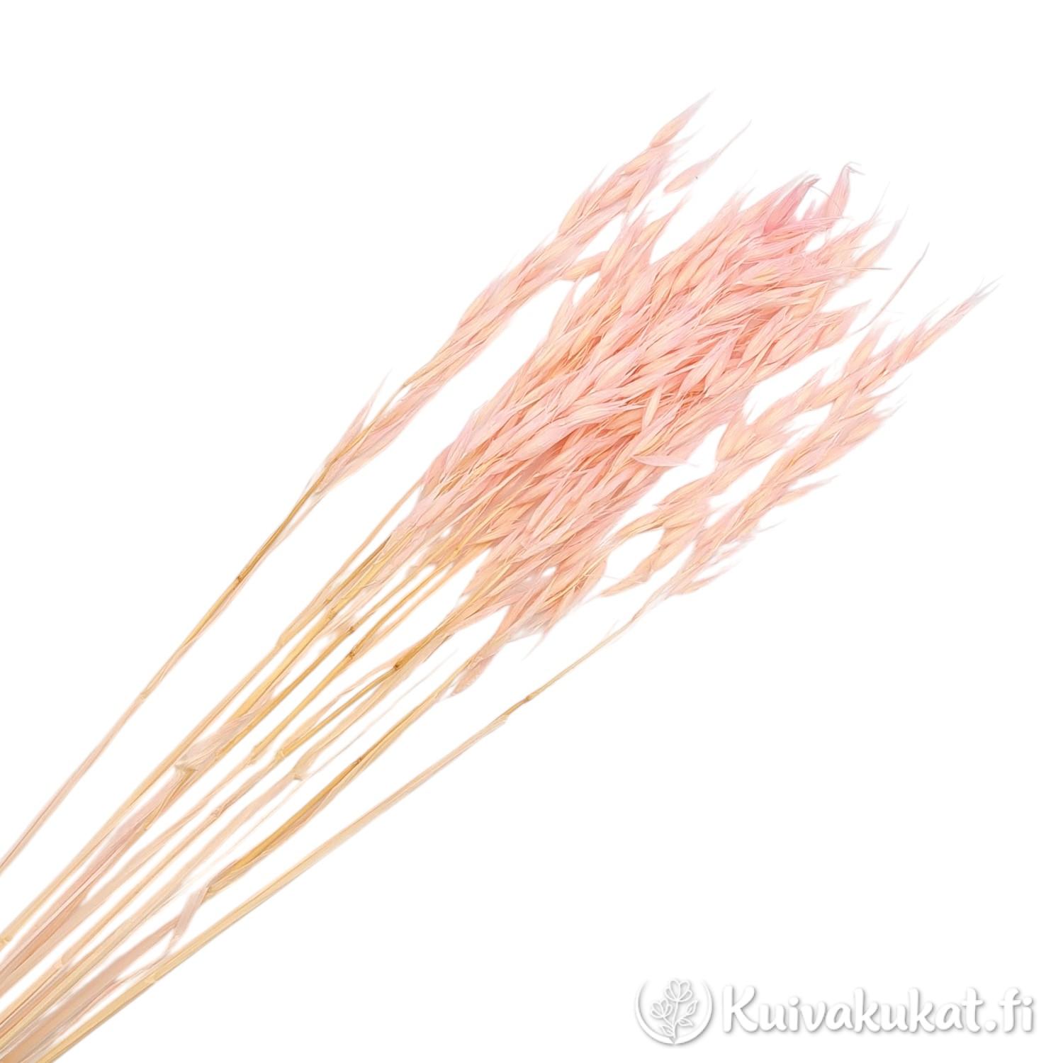 Nippu puuteriroosaa kuivattua kauraa valkoisella taustalla.