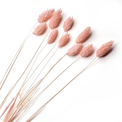 Pastellipinkki